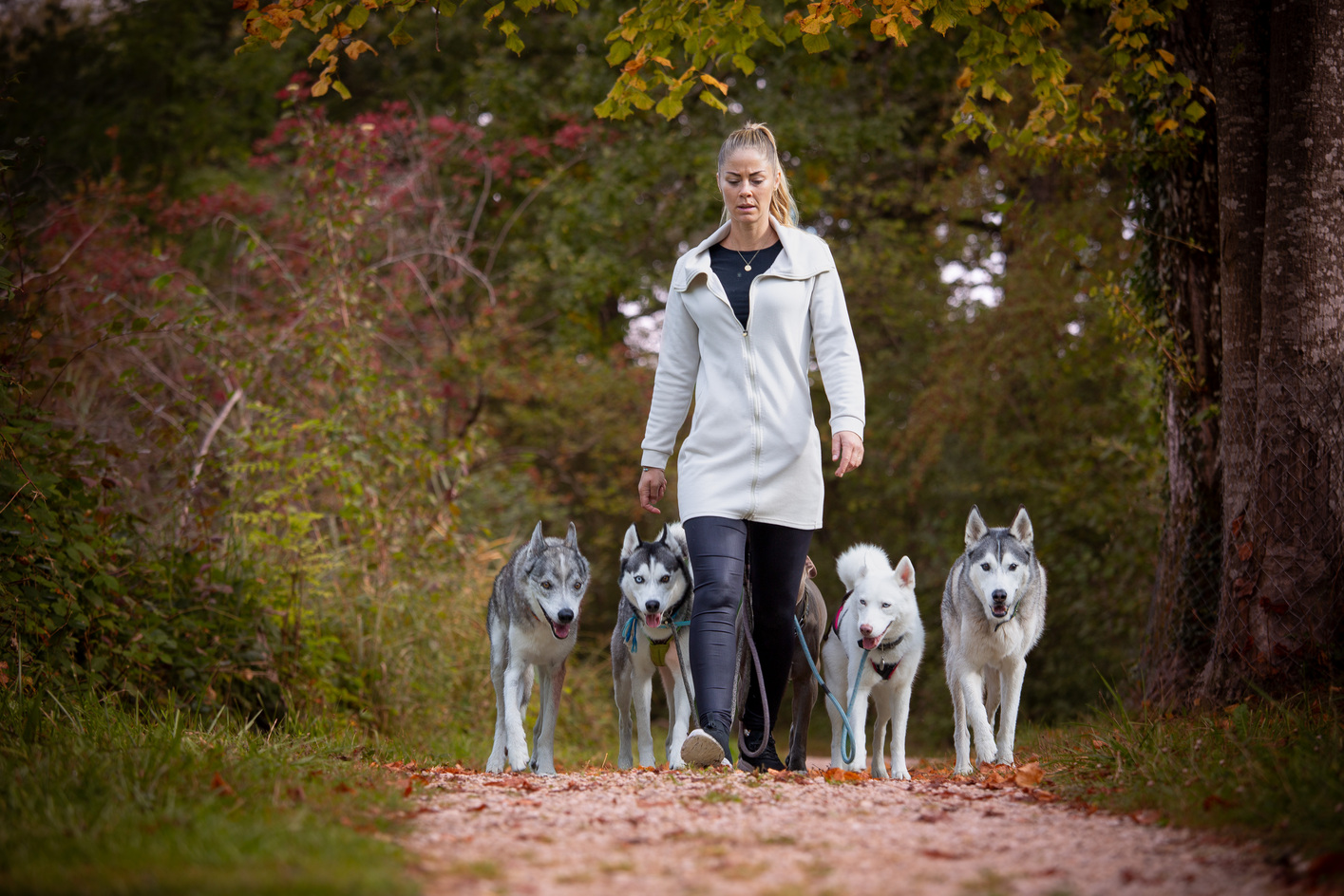 Socialwalk in Biel, Bern, Lyss, Aarberg, Seeland