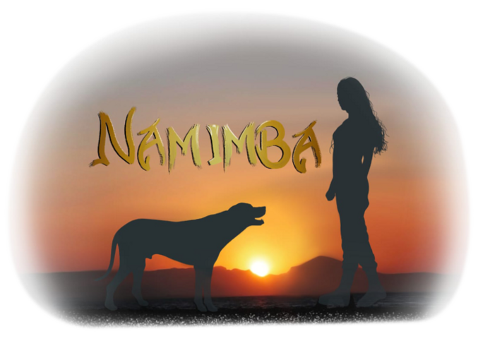 Namimba-Logo