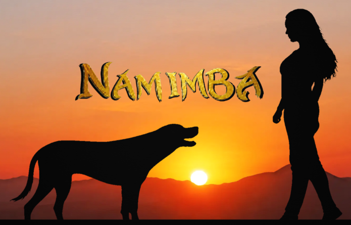 Logo de Namimba